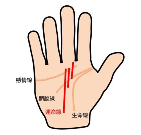 中指下兩條線